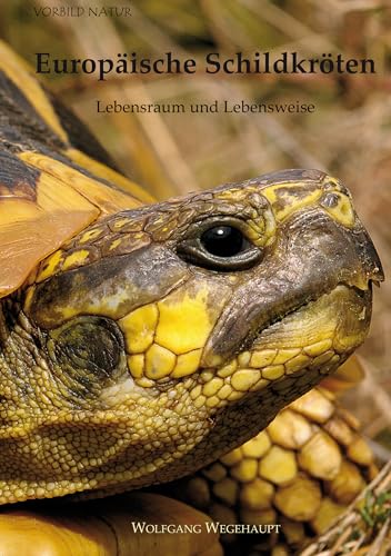 Buch von Wolfgang Wegehaupt über Europäische Schildkröten