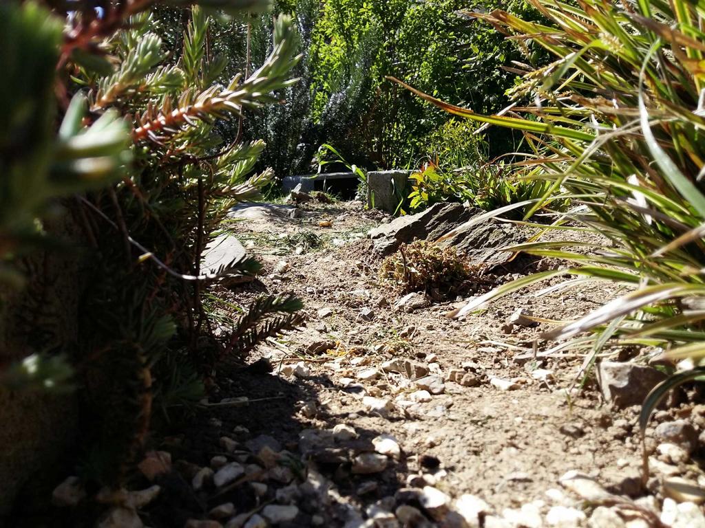 gut strukturiertes Gehege bietet den Schildkröten Schutz und Versteckmöglichkeiten
