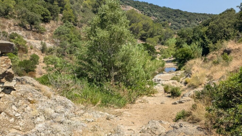 Habitat Europäischer Landschildkröten