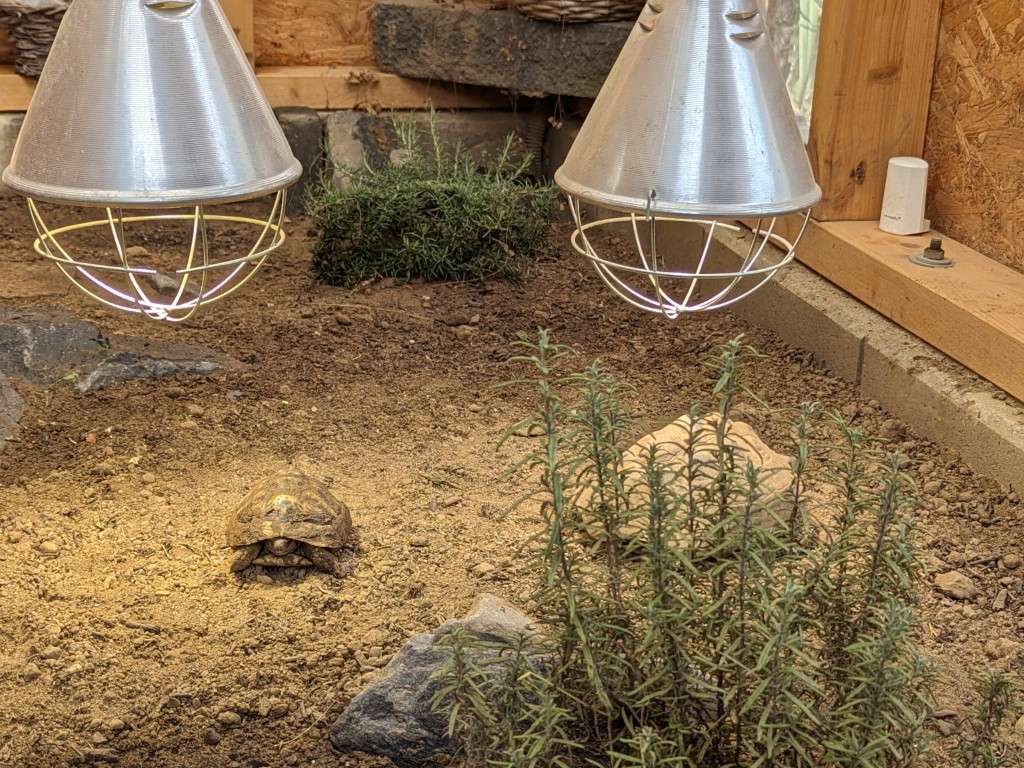 UV-Lampen im Schildkrötenhaus