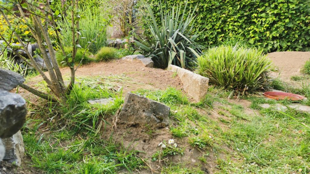 Landschildkrötengehege mit Hügeln, Pflanzen und Steinen