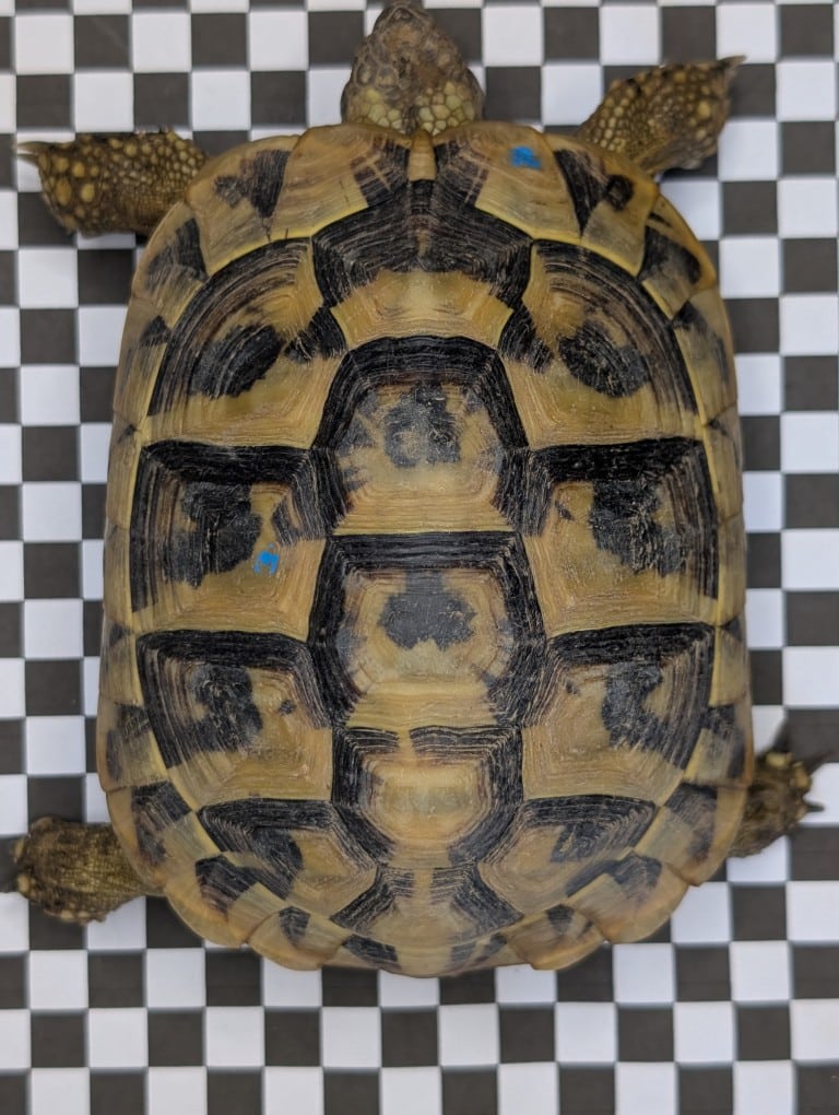 Fotodokumentation von oben