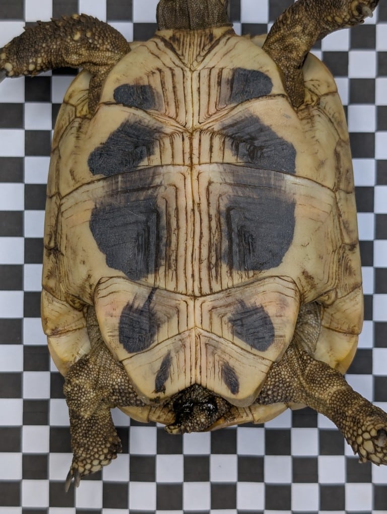 Fotodokumentation von unten